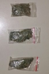 Slika 2017/gorica droga/ms.jpg